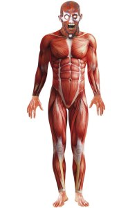 Slim Goodbody has been eating some carrots like a motherfucker.